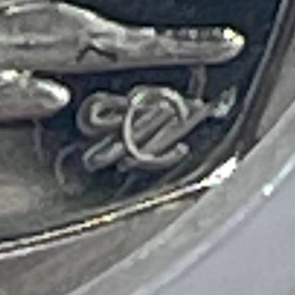 Extremely Scare 2001  CW Mintmark Oom Paul R5 with certificate