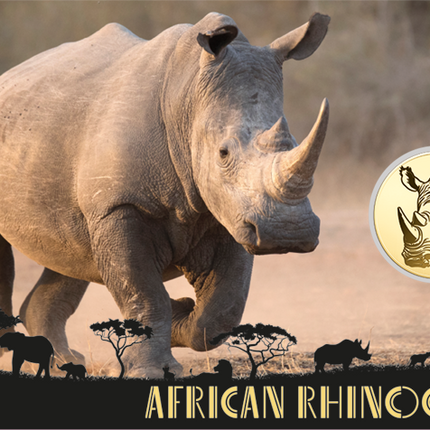 African White Rhino Gold Coin Card