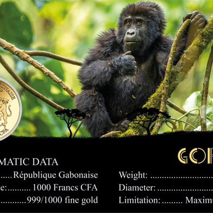 Gorrila Gold Coincard