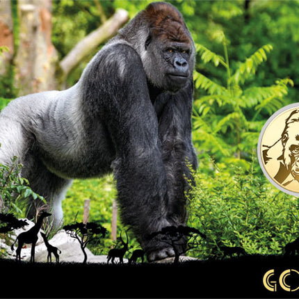 Gorrila Gold Coincard