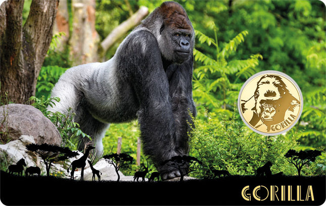 Gorrila Gold Coincard