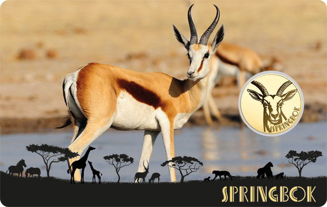 Springbok Gold Coincard