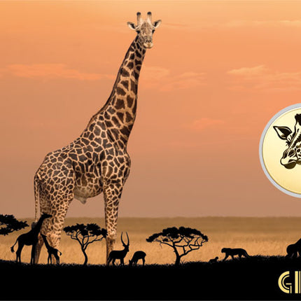 Giraffe Gold Coincard