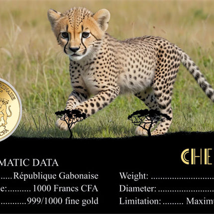 Cheetah Gold Coincard