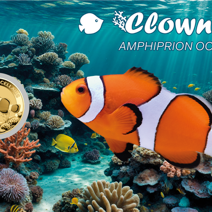 Clownfish Gold Coincard