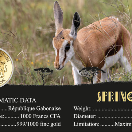 Springbok Gold Coincard