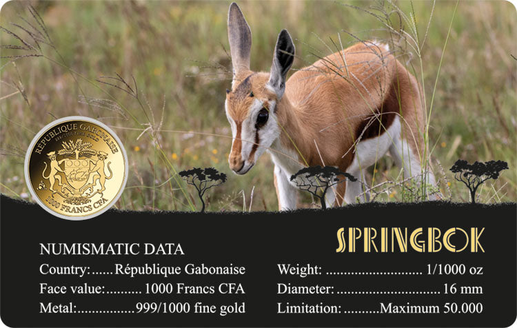 Springbok Golden Chain Springbok Gold Coincard – Investment Coin & Bullion