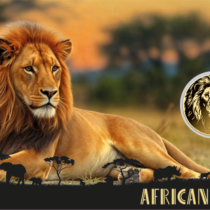 African Lion Gold Coin Card