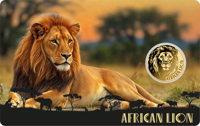 African Lion Gold Coin Card