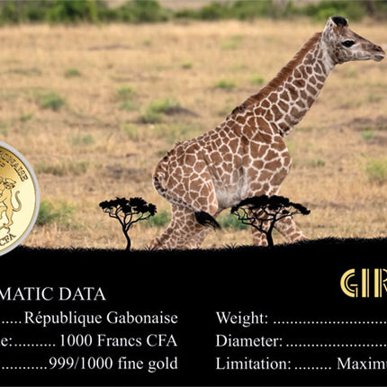 Giraffe Gold Coincard