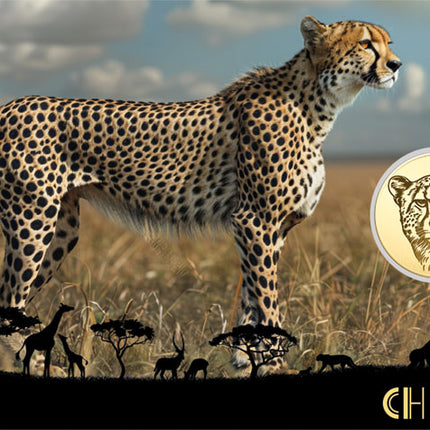 Cheetah Gold Coincard