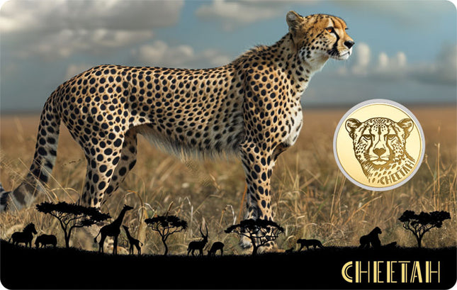 Cheetah Gold Coincard