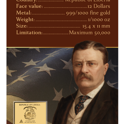 John Singer Sargent Portrait of Theodore Roosevelt Gold Coincard