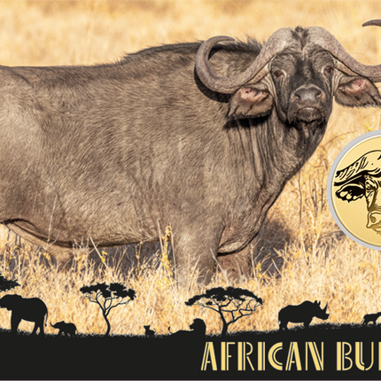 African Buffalo Gold Coin Card