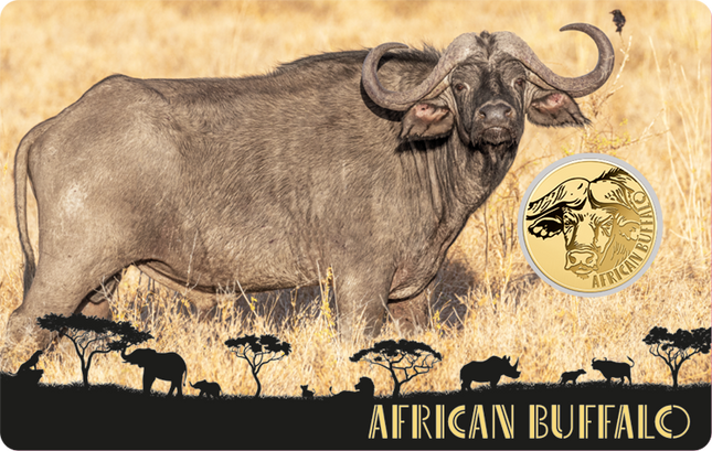 African Buffalo Gold Coin Card